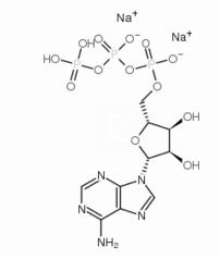 腺苷-5′-三磷酸二钠盐